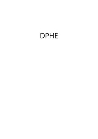 DPHE 실험 레포트
