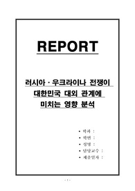 러시아,우크라이나 전쟁이 대한민국 대외 관계에 미치는 영향 분석