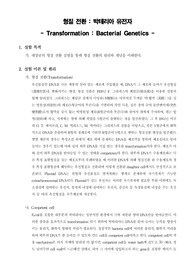 [일반생물학실험]형질 전환 - 박테리아 유전자
