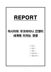러시아와 우크라이나 전쟁이 세계에 미치는 영향
