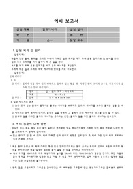 일과에너지 예비보고서