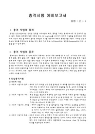 충격시험 예비보고서