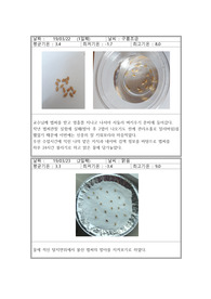 벼재배 일지/벼재배 레포트 (A+)