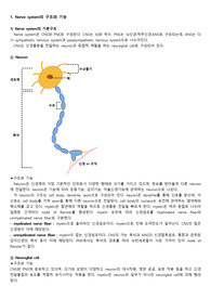 성인간호학 실습 A+ 받은 신경계 문헌고찰 19p - 구조기능, 주요 질환의 병태생리, 진단검사 핵심요약본