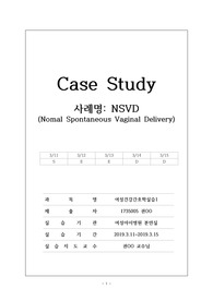 여성간호학 케이스스터디(case study)-NSVD(자연분만)(간호진단 2개)