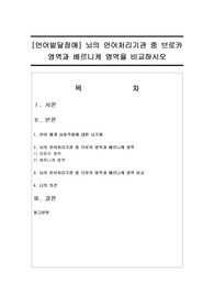 [언어발달장애] 뇌의 언어처리기관 중 브로카 영역과 베르니케 영역을 비교