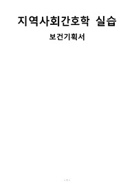 지역사회간호학 보건사업기획 영등포구