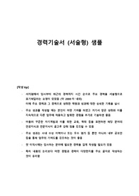 경력 기술서(서술형, 5~8년차)