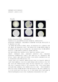 그람염색 - 중앙대 일반생물학실험 A+ 결과레포트