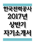 한국전력공사 2017년 전기직 자기소개서