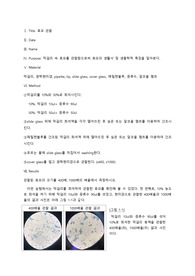 효모 관찰 실험 레포트 (A+)