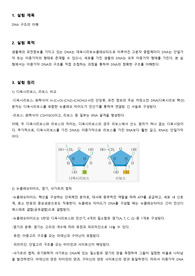 13. DNA구조의 이해