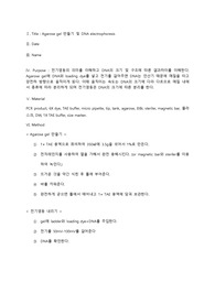 Agarose gel 제작 및 DNA 전기영동 실험 레포트 (A+)
