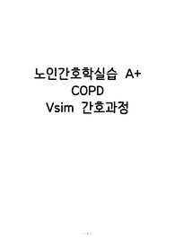 Vsim COPD 간호과정 (진단 2개, 과정 2개)