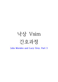 낙상 Vsim 간호과정 (Julia Morales and Lucy Grey, Part 3) 진단 2개, 과정 2개
