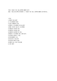 기업의 기존 광고전략에 대해서 분석