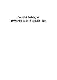 Bacterial Staining &amp; 선택배지에 의한 특정세균의 동정