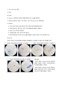 Barr body (바소체) 관찰 실험 레포트 (A+)