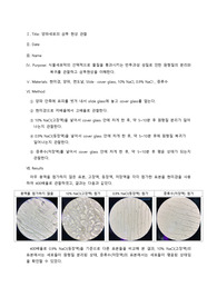 양파세포의 삼투 현상 관찰 실험 레포트 (A+)