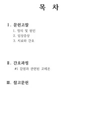 아동간호학 뇌수막염 case study 케이스, 감염과 관련된 고체온, 문헌고찰 계획 수행 평가 꼼꼼하게 작성