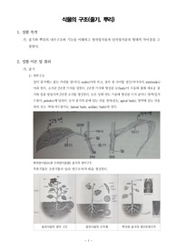 [일반생물학실험]식물의 구조(줄기,뿌리)