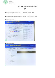 건국대학교 컴퓨터공학부 C프로그래밍 10주차 랩 실습