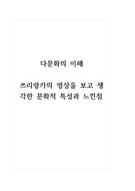 다문화의이해_쓰리랑카의 영상을 보고 생각한 문화적 특성과 느낀점