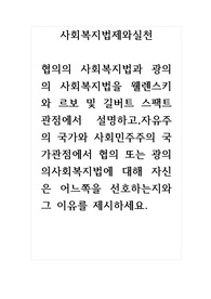 사회복지법제와실천_협의의 사회복지법과 광의의 사회복지법을 웰렌스키와 르보 및 길버트 스팩트관점에서 설명하고, 자유주의 국가와 사회민주주의 국가관점에서 협의 또는 광의의사회복지법에 대해 자신은 어느 쪽을 선호하는지와 그 이유를 제시하세요.
