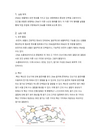 생물학 실험-DNA 구조의 이해