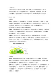 광합성 실험 리포트