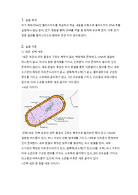 플라스미드 DNA 추출 리포트