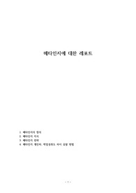 메타인지에 대한 레포트