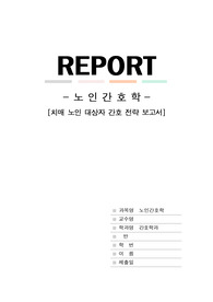 노인간호학 REPORT(2)