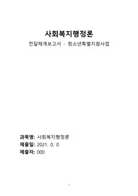 사회복지행정론 전달체계보고서 - 청소년특별지원사업