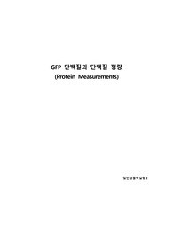 GFP 단백질과 단백질 정량 A