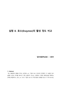 효소 레포트 A
