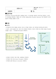 점도 결과보고서