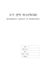 조기 양막 파수 Case Study 간호과정 2개