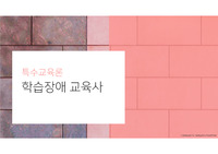 학습장애 교육사