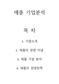애플 기업분석
