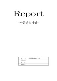 [지역사회간호학] 보건소 성공사례, 방문간호, 방문건강관리사업 [조별과제, 레포트]