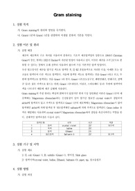 [일반생물학실험]Gram Staining