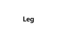발목관절 운동학 강의안, ankle joint kinesiology