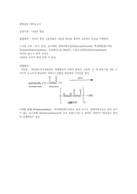 나일론 합성 예비보고서