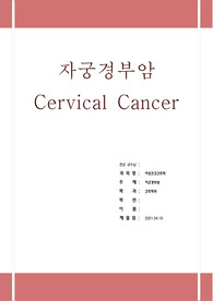 여성건강간호학 A+레포트, 자궁경부암(cervical cancer)에 대하여
