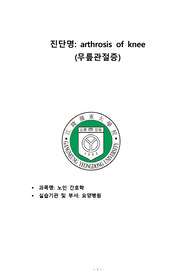 노인간호학실습 무릎관절증 케이스스터디(AOK) 간호진단/과정 2개