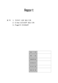 프로이드, 에릭슨, 피아제 발달단계 레포트 A+(교육학, 아동간호)