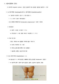 [성인간호학] 림프질환과 간호 [림프관염 (lymphangitis)] / [림프절염 (lymphadenopathy)] / [림프부종 (lymphedema)] 자료조사, 요약정리, 문헌고찰, 교과서(교재, 필기) 정리 [과제 자료조사 시, 시험 대비 노트 자료]