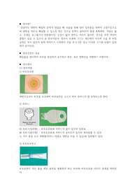 장루간호