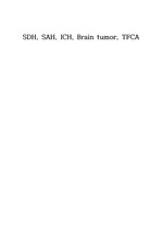 SDH, SAH, ICH, Brain tumor, TFCA 문헌고찰/간호과정(각각 진단1개~2개)